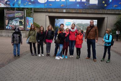 Fische im Aquarium und auch auf der Leinwand gesehen