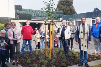 Ein Apfelbaum zum 100-jährigen Jubiläum