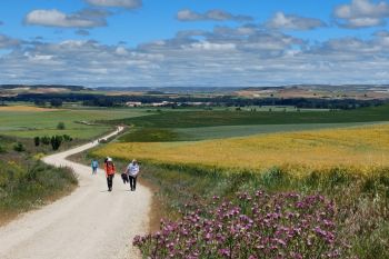 Immer nach Westen - dem Ziel entgegen