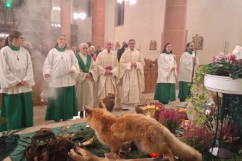 Jagdhornbläser begleiteten Hubertustag